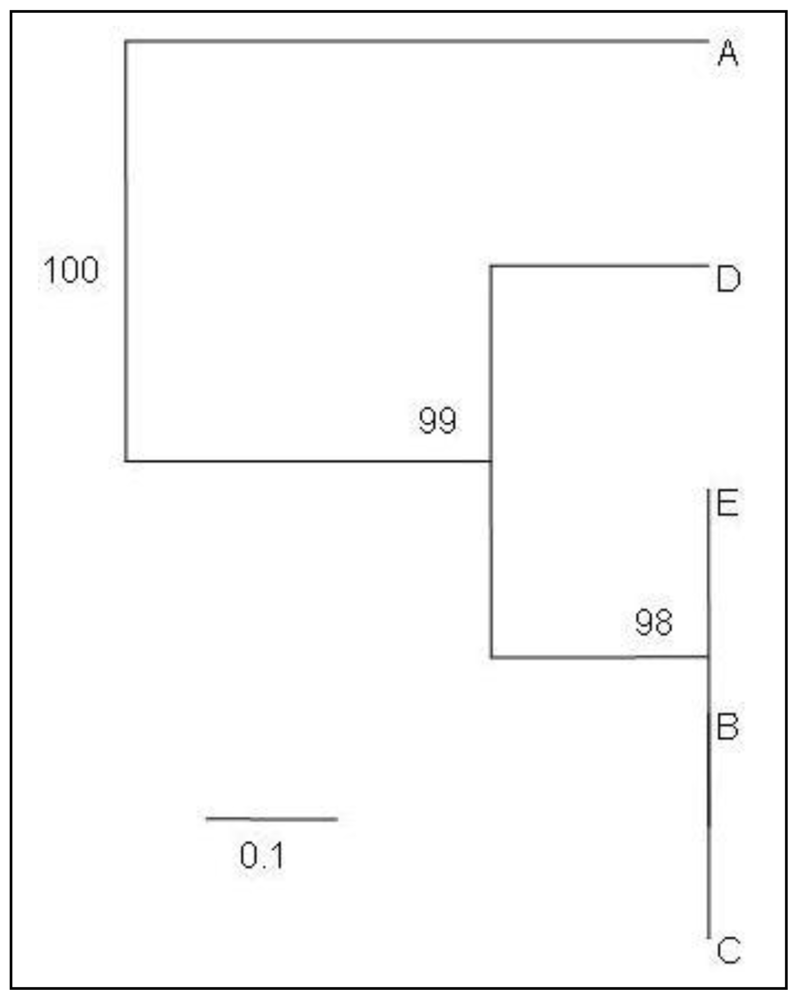 Ijms 11 03149f3 1024