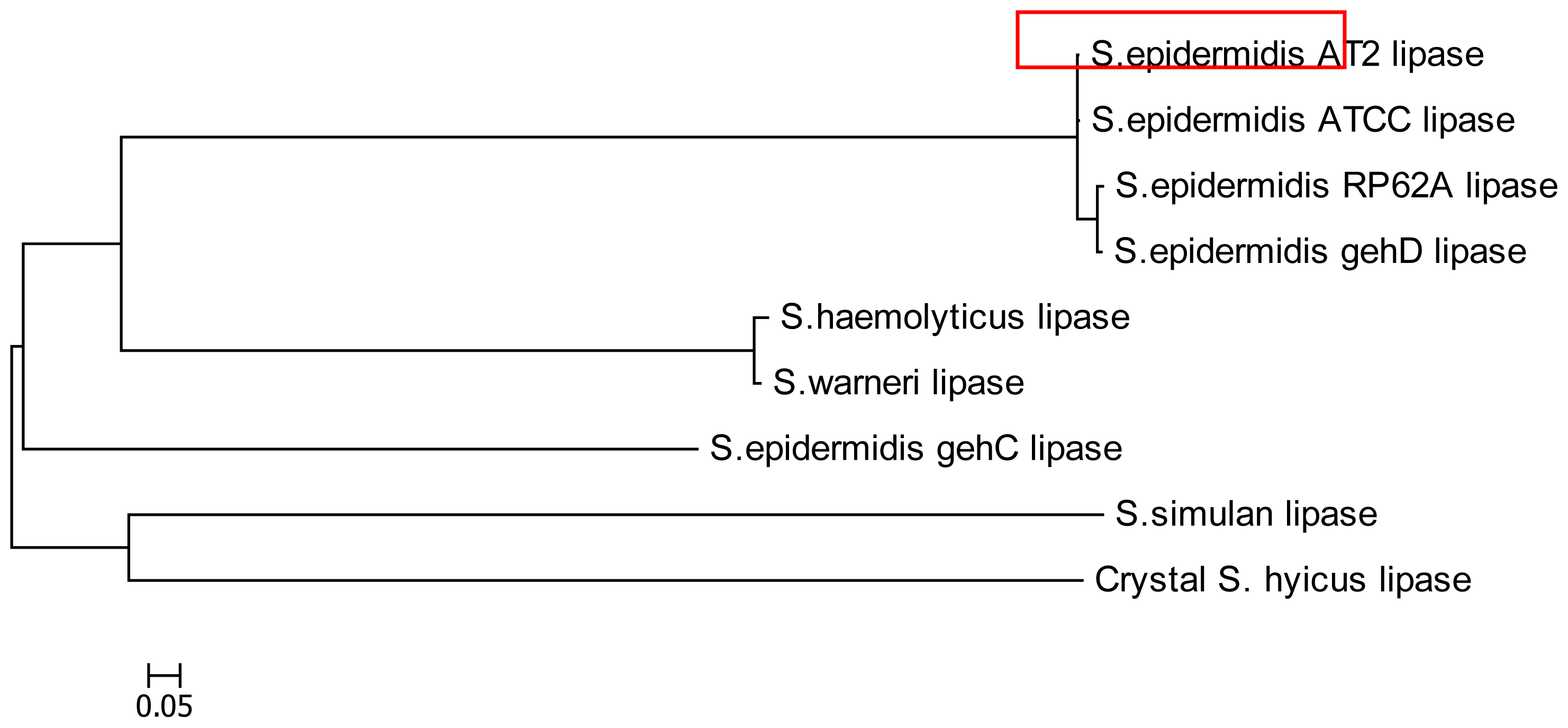 Ijms 11 03195f3 1024