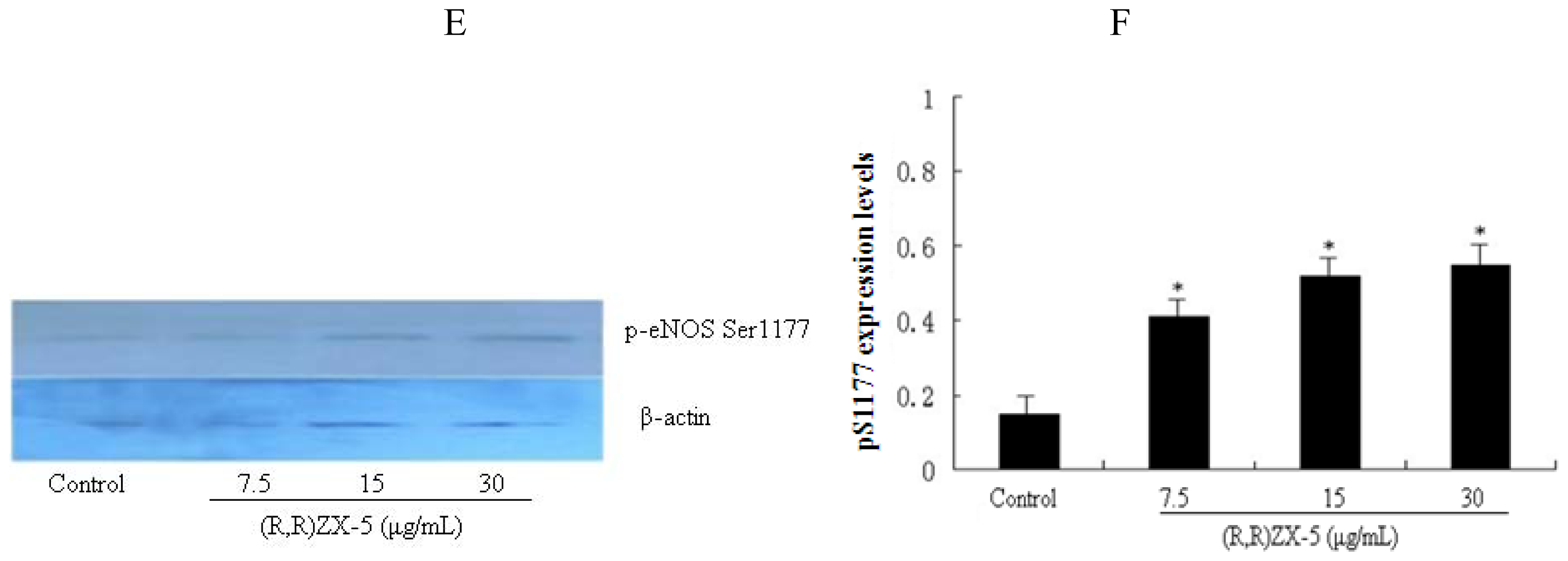 Ijms 11 03323f4b 1024