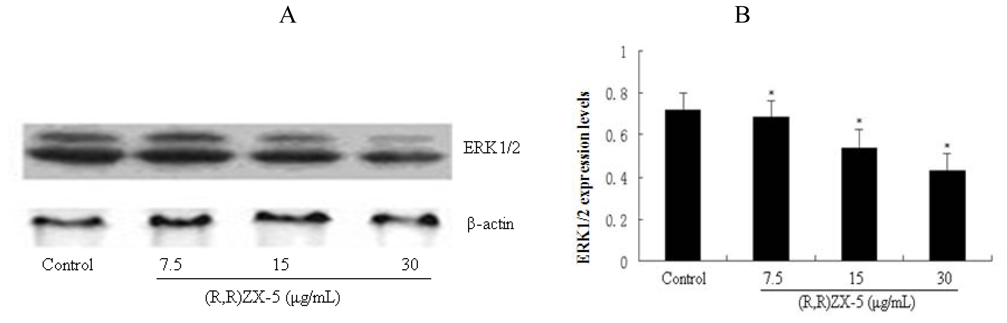 Ijms 11 03323f5a 1024