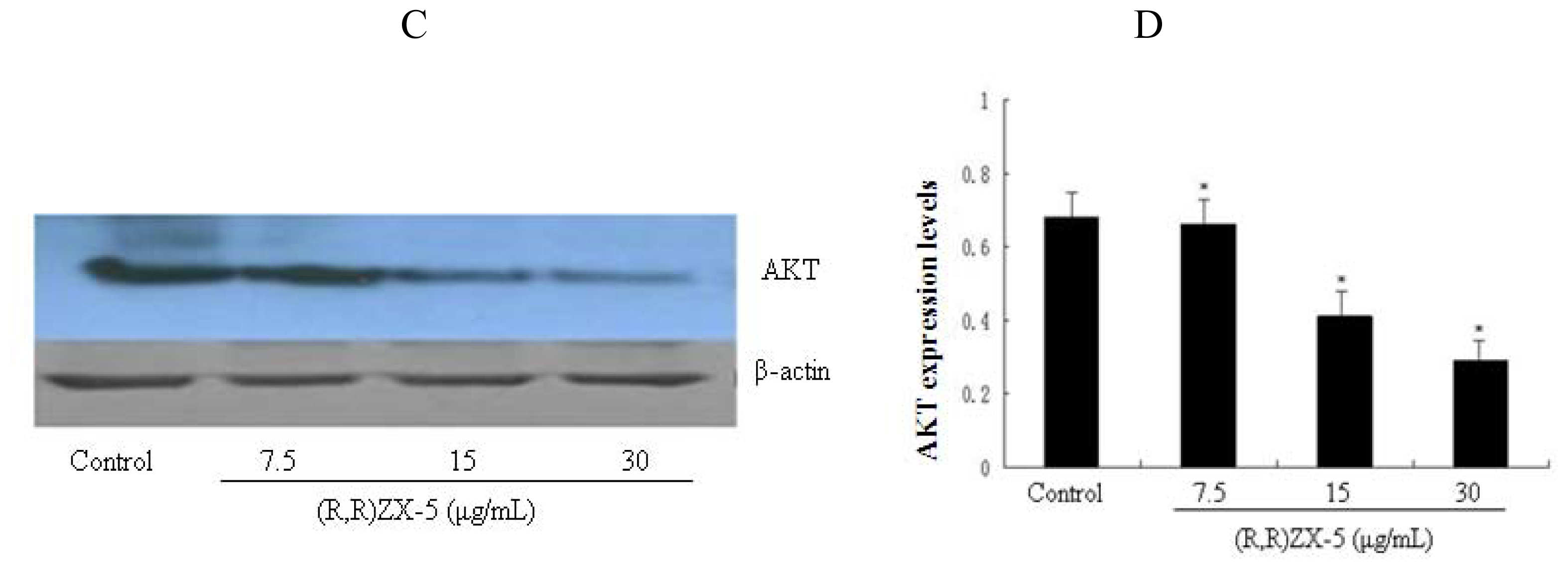 Ijms 11 03323f5b 1024