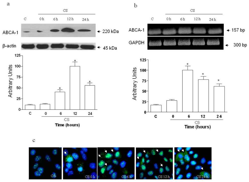 Ijms 11 03375f1 1024