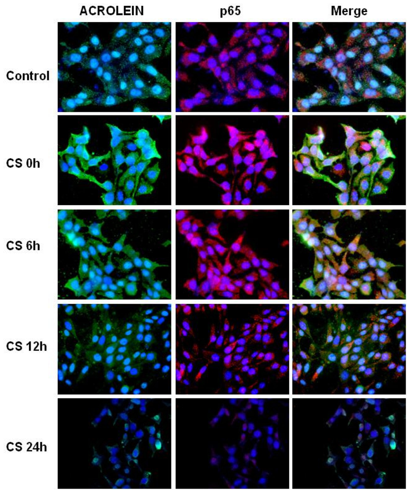 Ijms 11 03375f3 1024