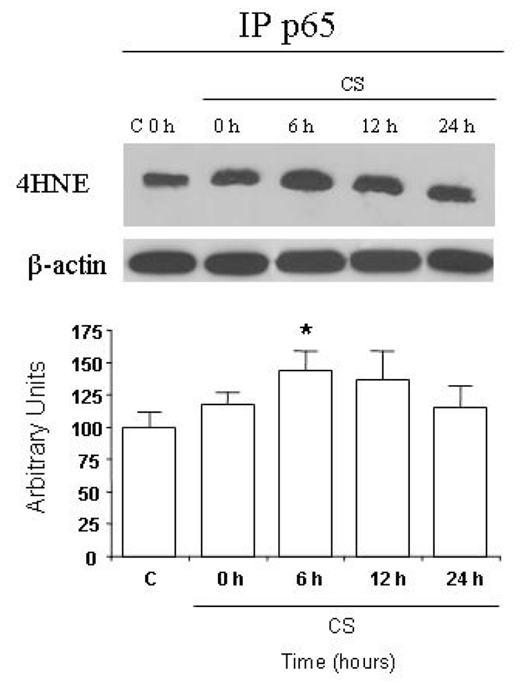 Ijms 11 03375f5 1024