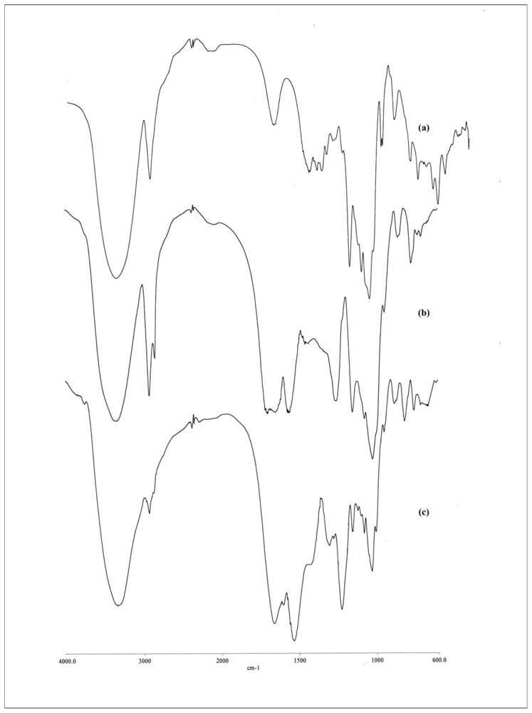 Ijms 11 03459f1 1024