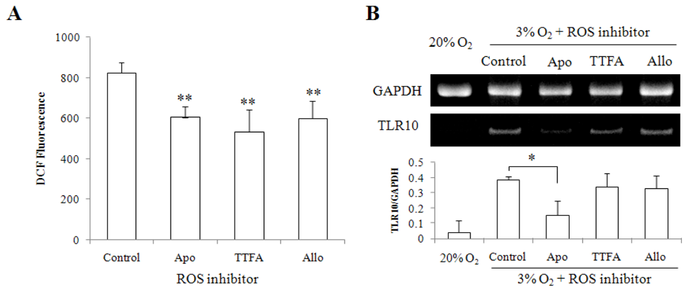 Ijms 11 03769f3 1024