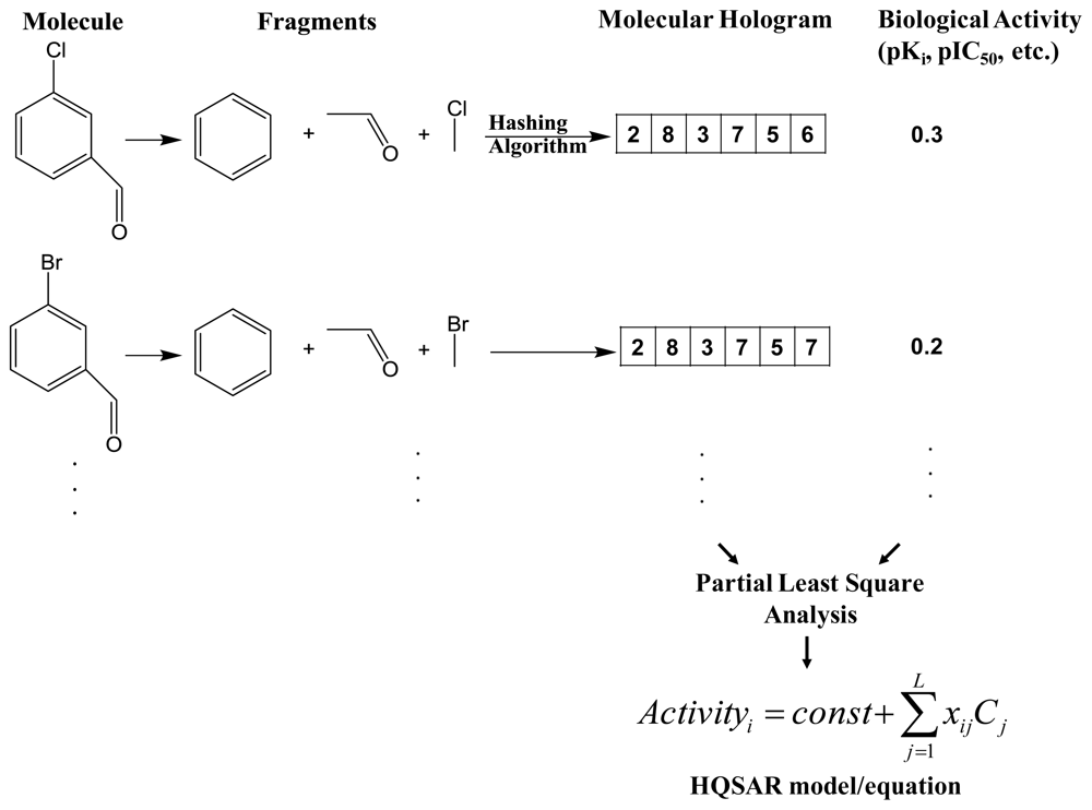 Recent Advances in Fragment-Based QSAR and Multi-Dimensional