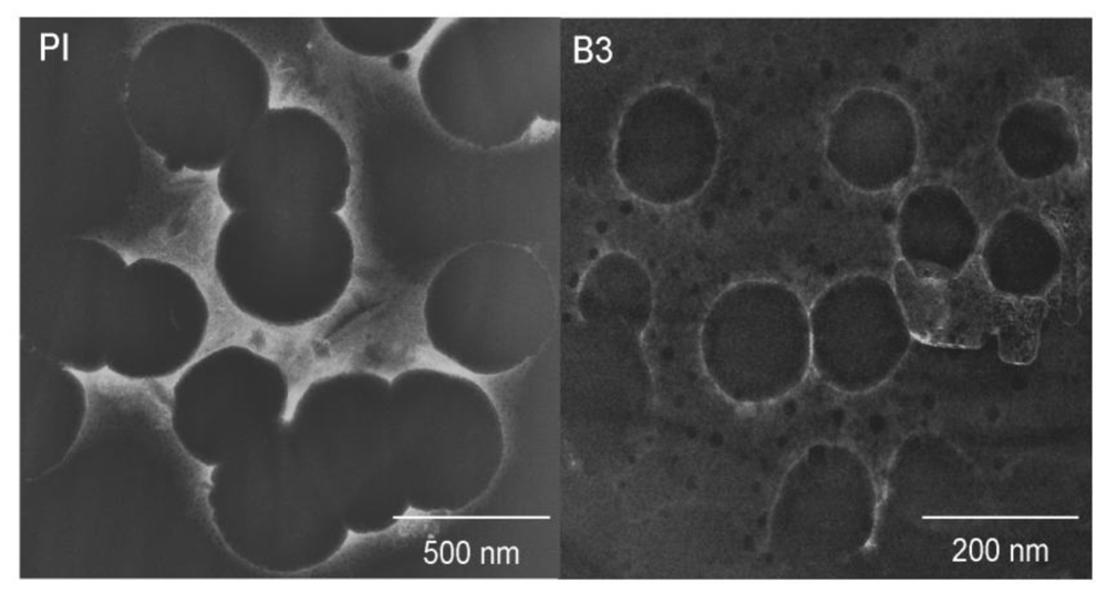 Ijms 11 03906f11 1024