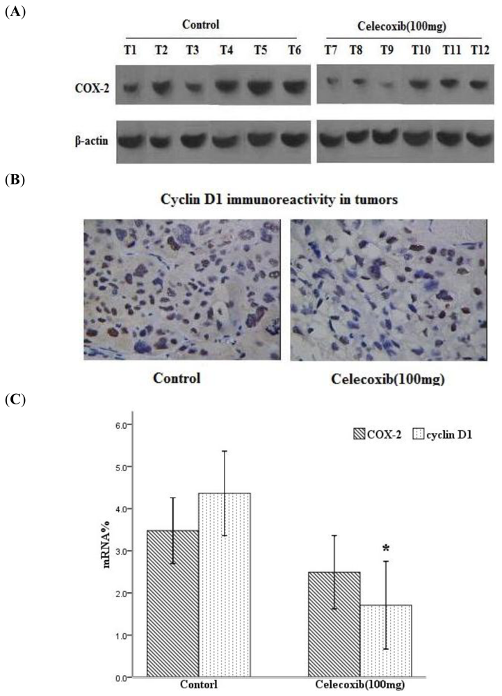Ijms 11 03999f1 1024
