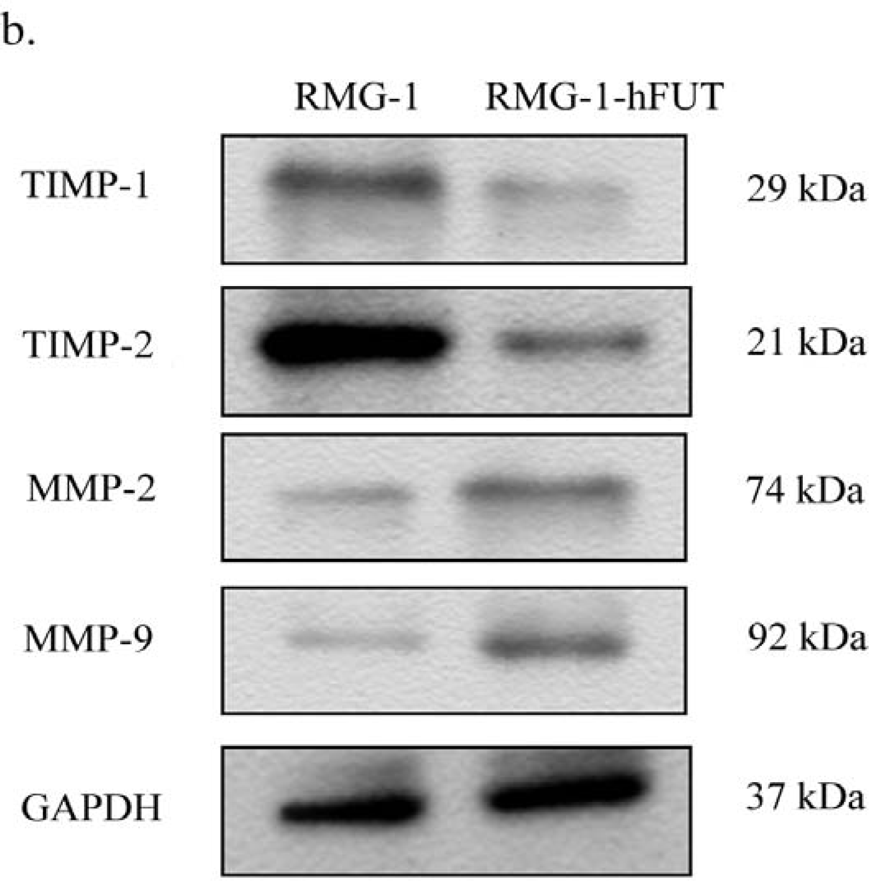 Ijms 11 04441f2b