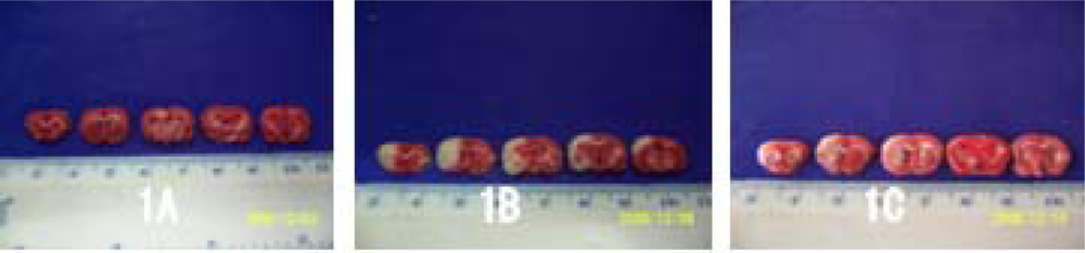 Ijms 11 04580f2