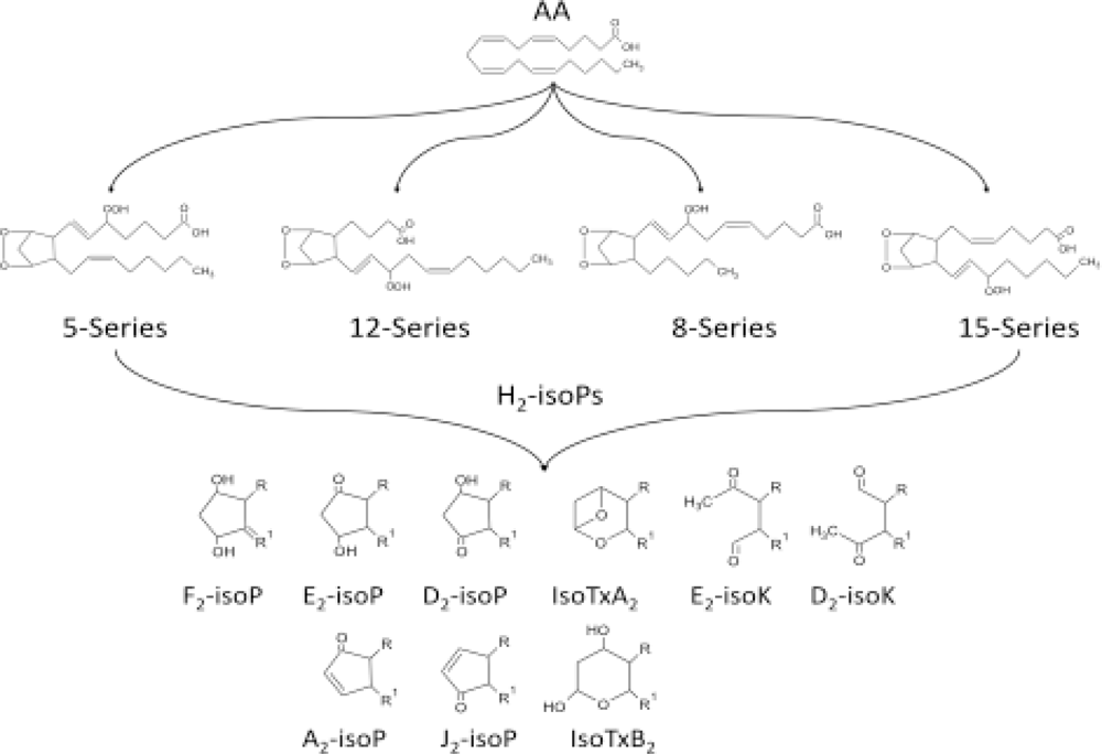 Ijms 11 04631f5 1024
