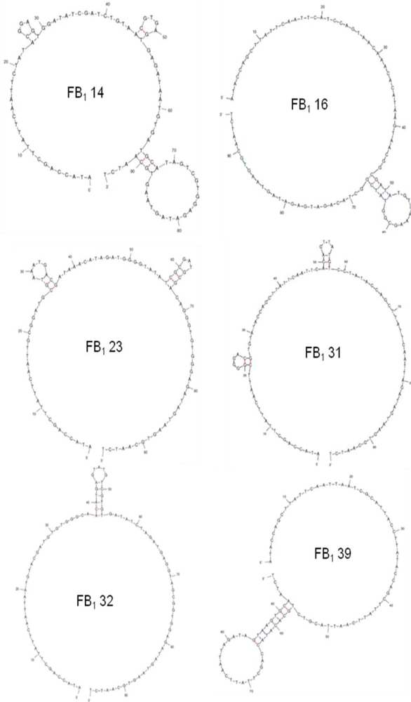 Ijms 11 04864f3
