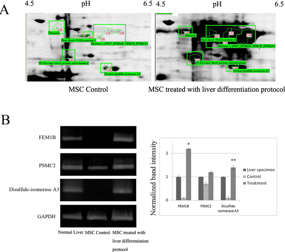 Ijms 11 04905f4 1024