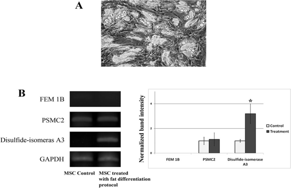 Ijms 11 04905f5 1024