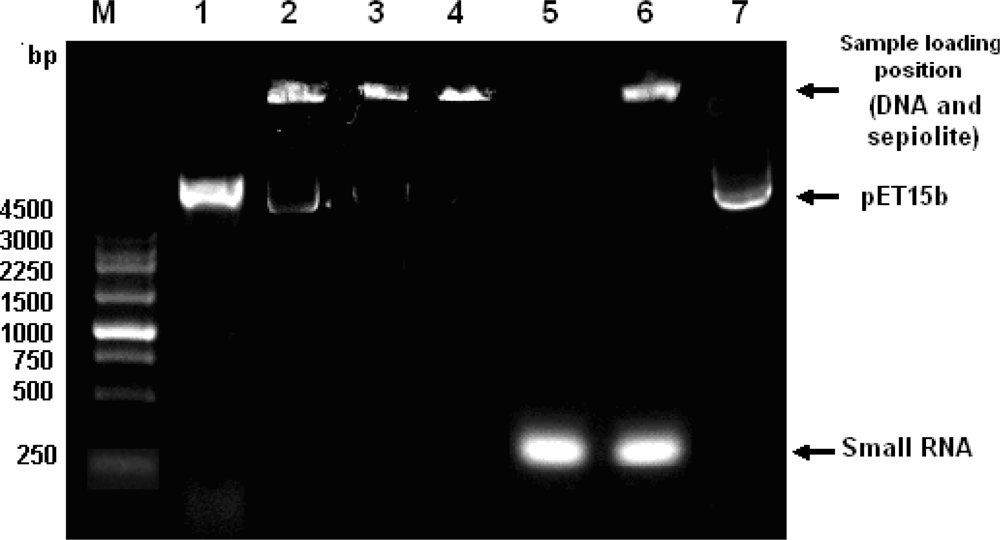 Ijms 11 04962f3 1024