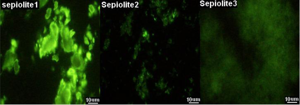 Ijms 11 04962f4 1024