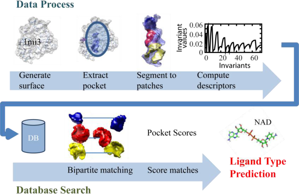 Ijms 11 05009f1 1024