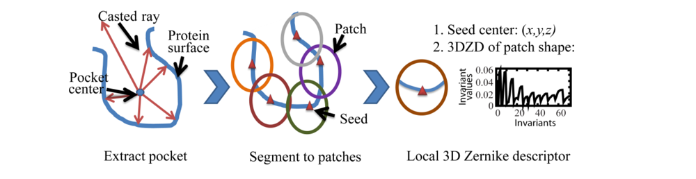 Ijms 11 05009f2 1024