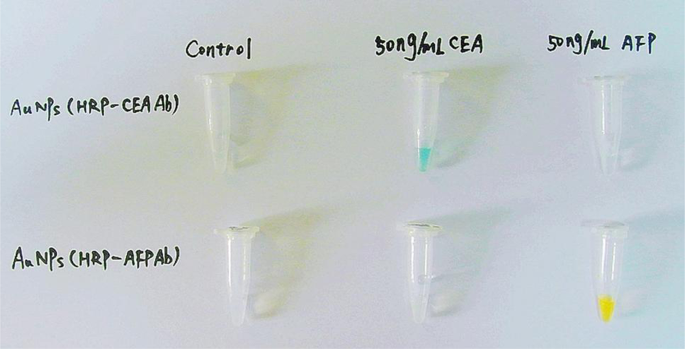 IJMS Free FullText Colorimetric Immunoassay for Detection of Tumor Markers
