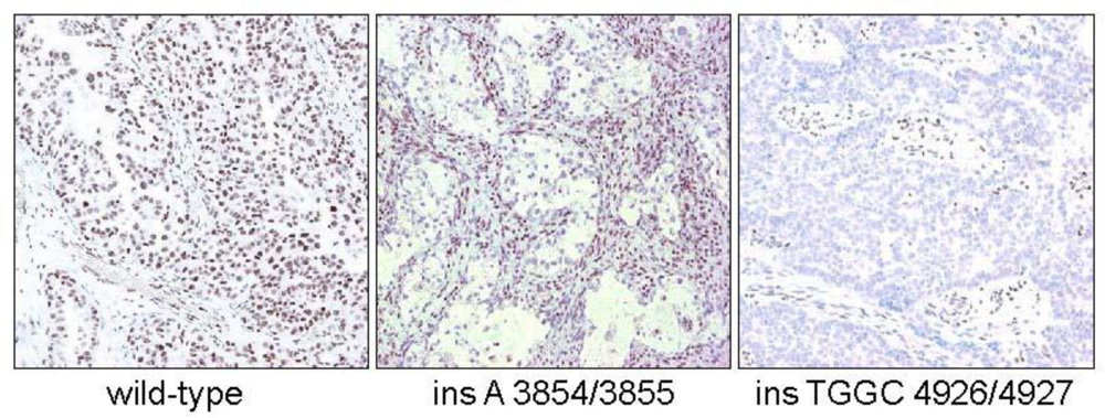 Ijms 11 05120f1 1024