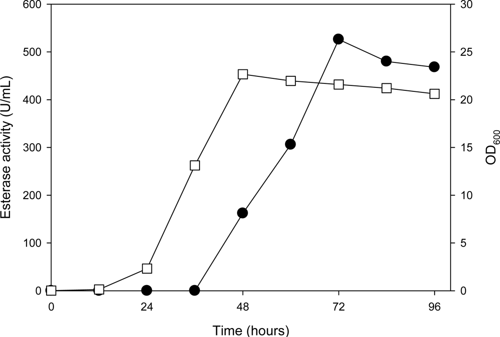 Ijms 11 05143f1 1024