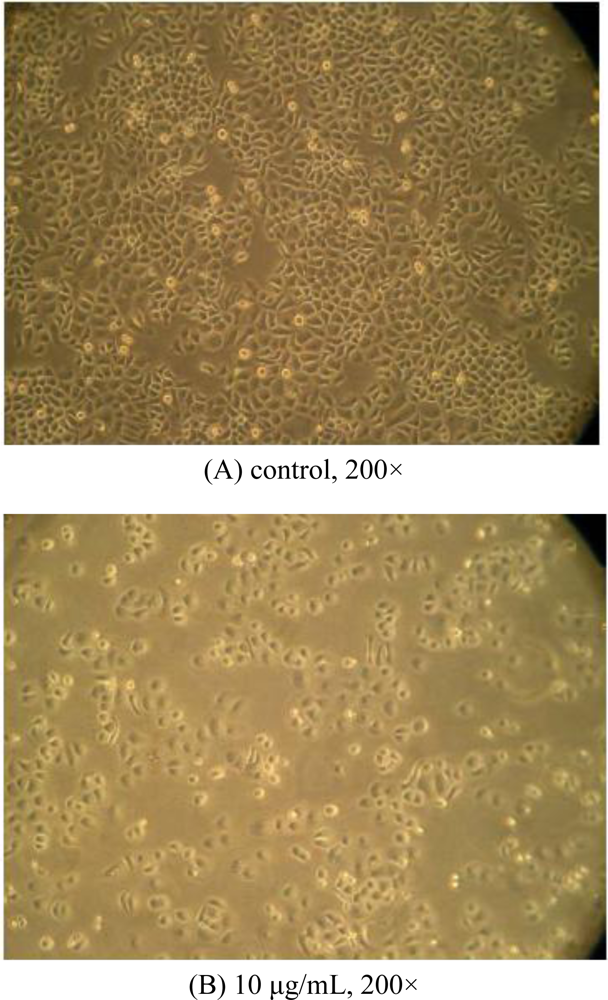 Ijms 11 05201f2