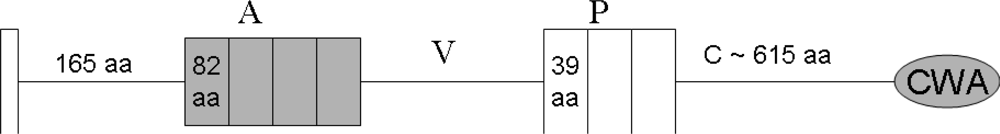 Ijms 11 05212f3 1024