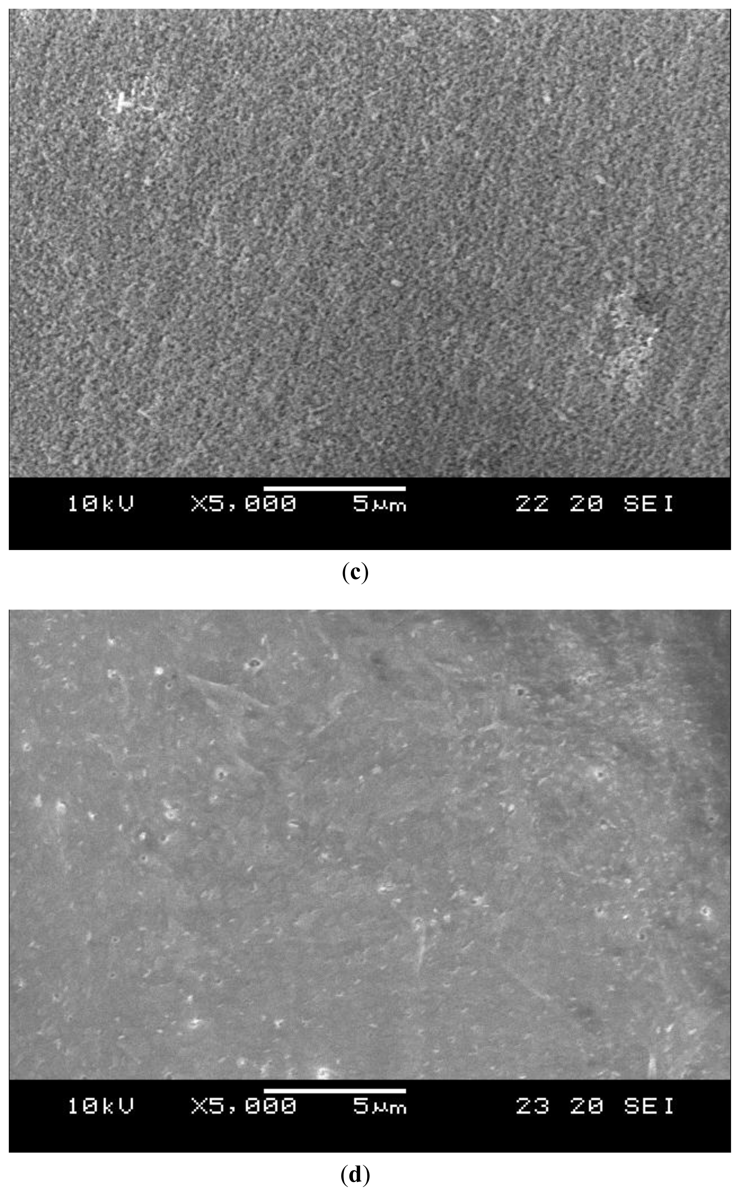 Ijms 12 00056f4b 1024