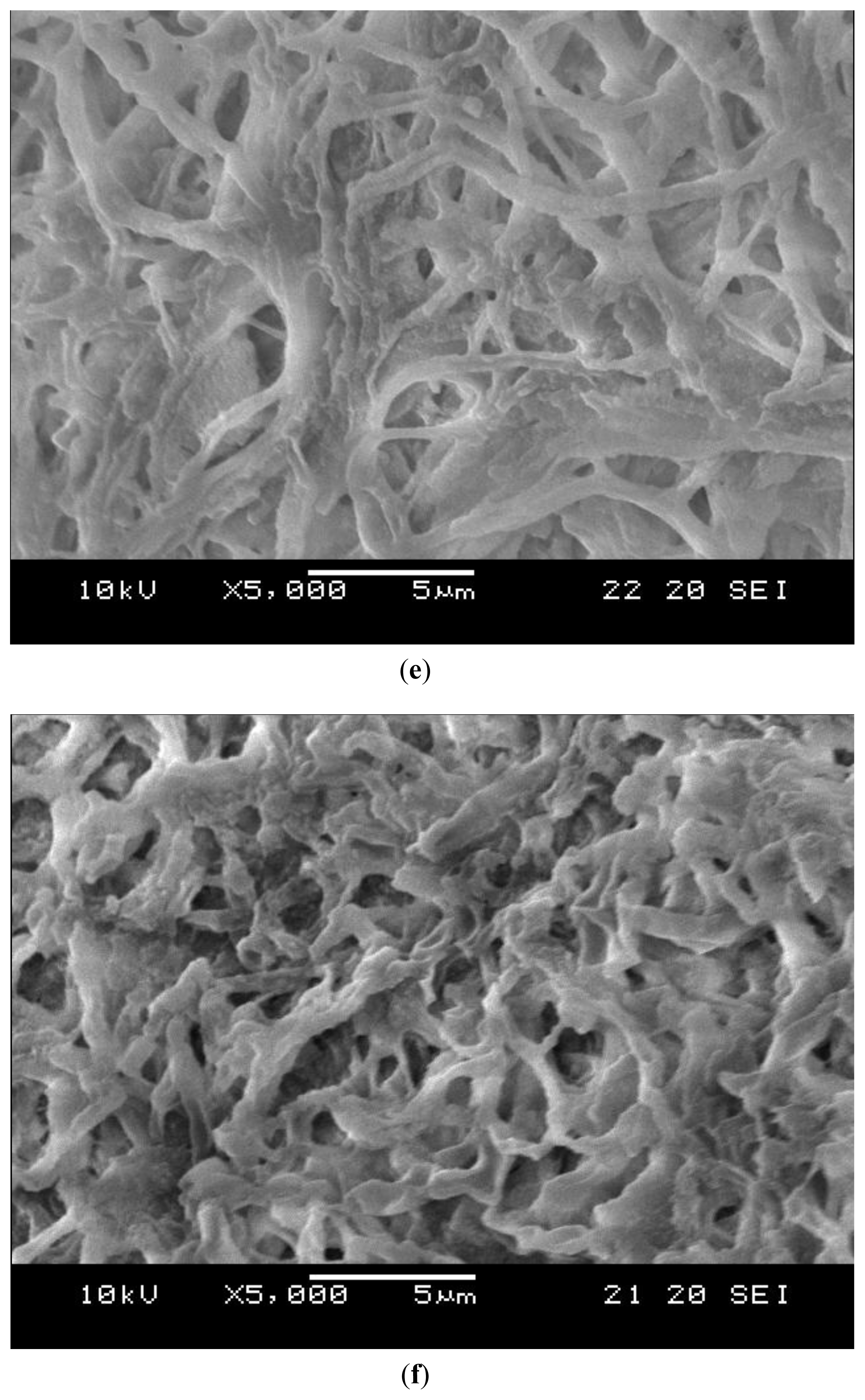 Ijms 12 00056f4c 1024