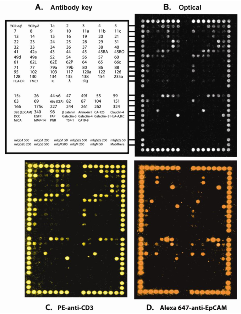 Ijms 12 00078f1 1024