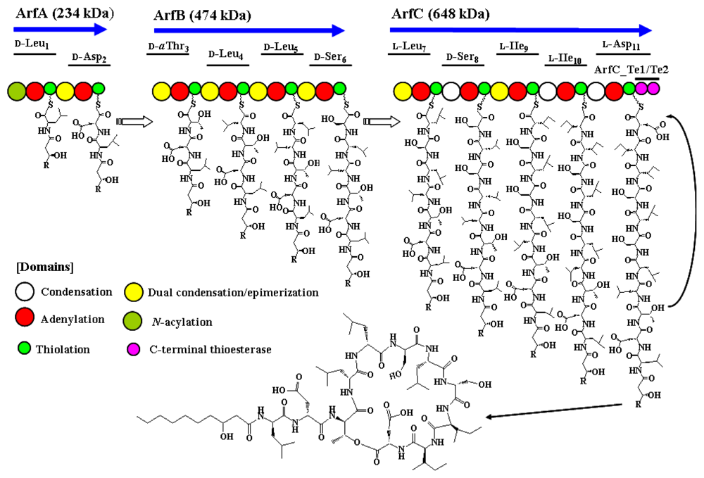 Ijms 12 00141f2 1024