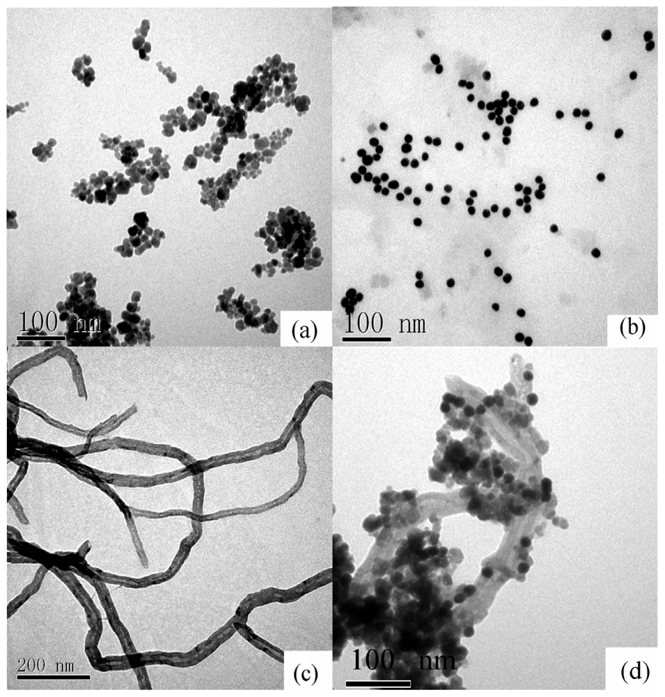 Ijms 12 00362f1 1024