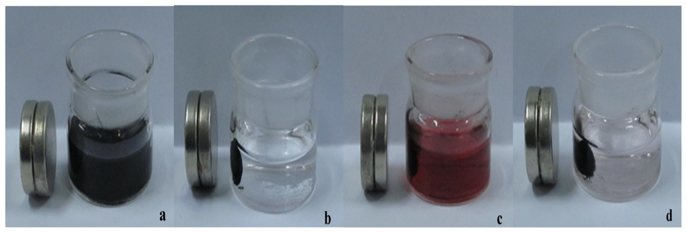 Ijms 12 00362f2 1024