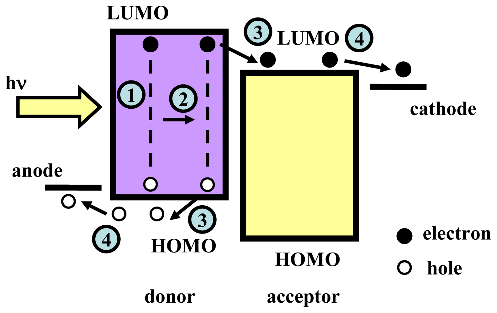 IJMS | Free Full-Text | High Photoelectric Conversion Efficiency 