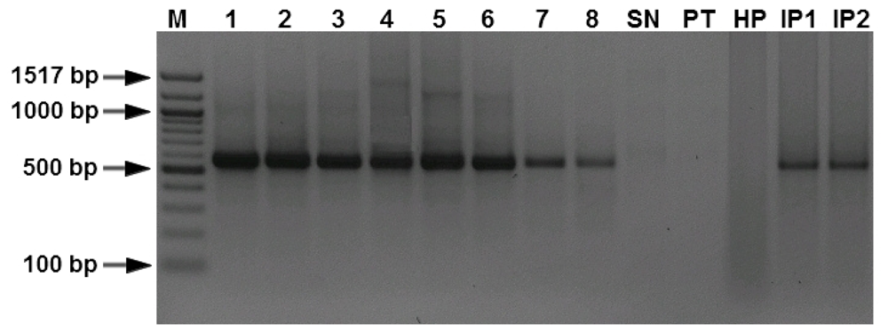 Ijms 12 00682f2 1024