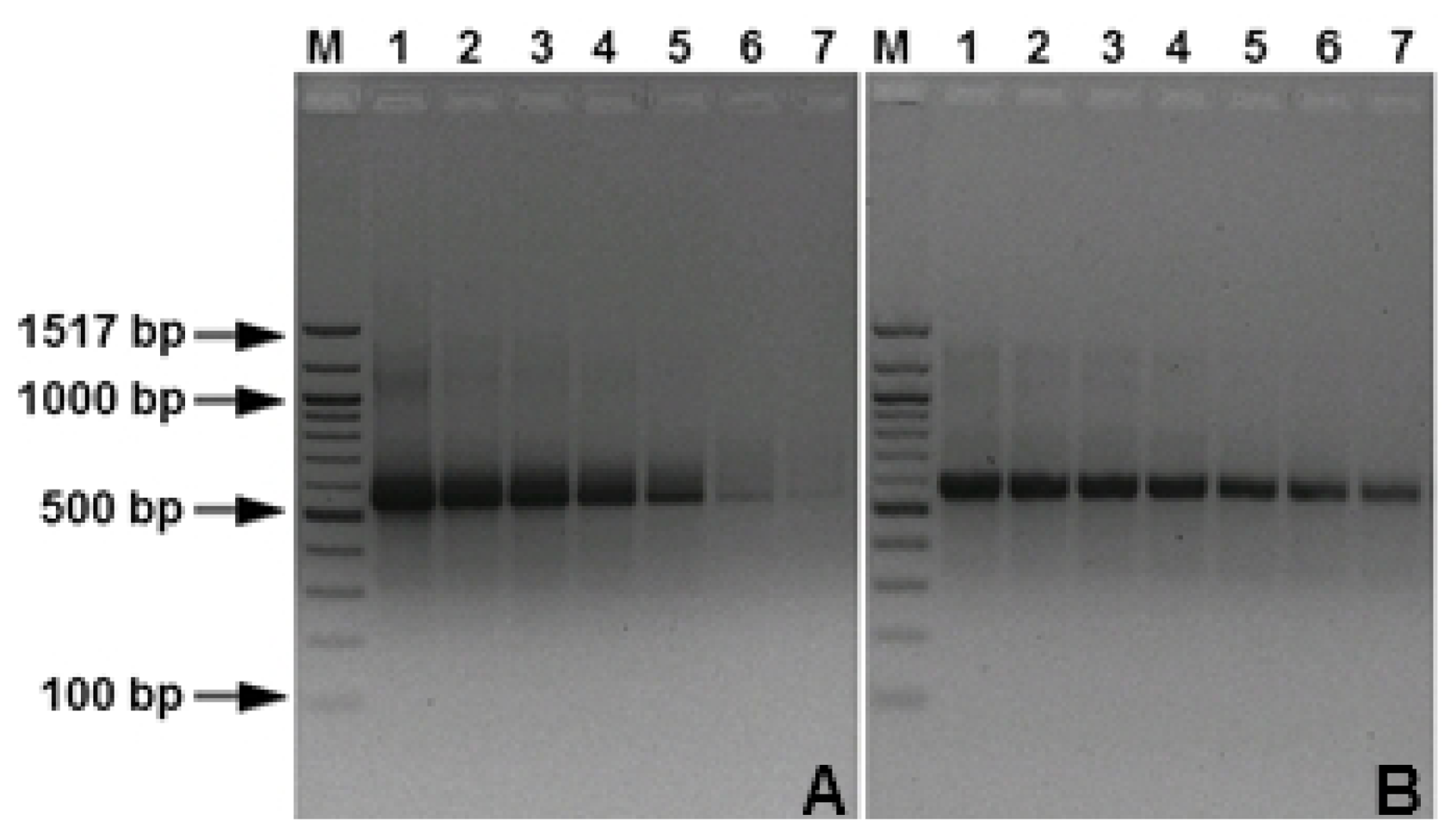 Ijms 12 00682f3 1024