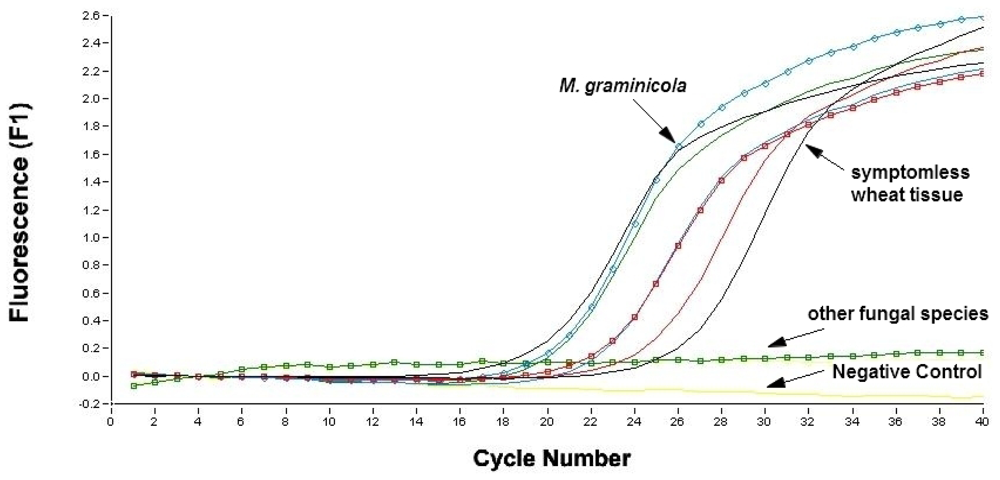 Ijms 12 00682f4 1024
