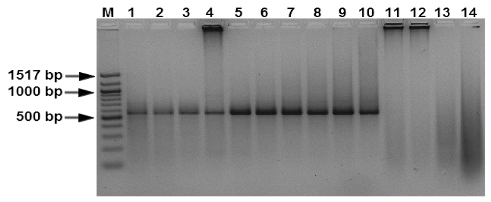 Ijms 12 00682f5 1024