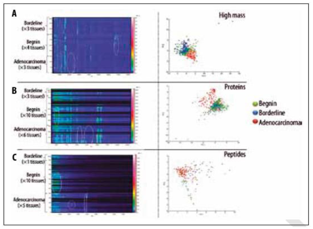 Ijms 12 00773f4 1024