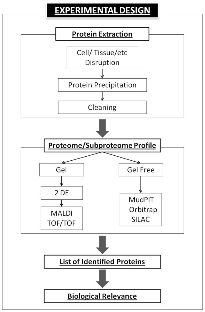 Ijms 12 00795f3 1024
