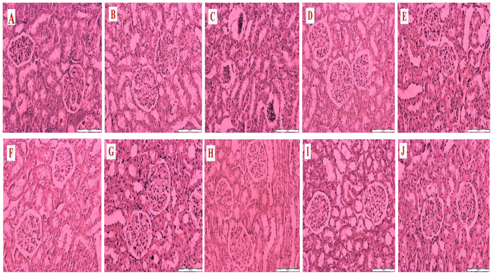 Ijms 12 00829f1 1024