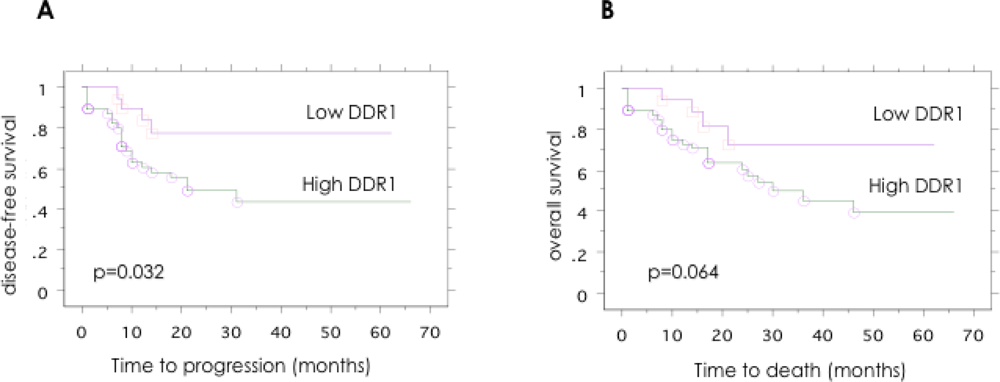 Ijms 12 00971f3 1024