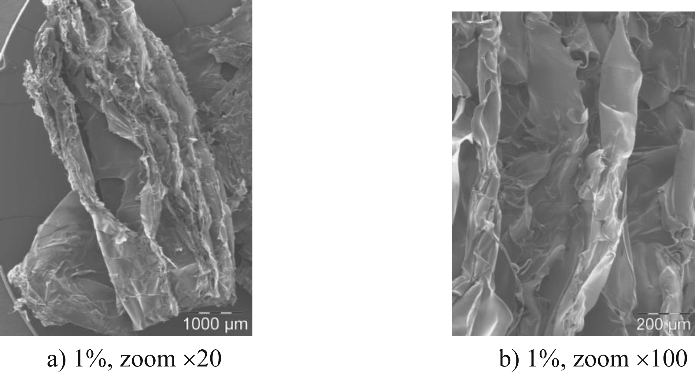 Ijms 12 01175f2a 1024