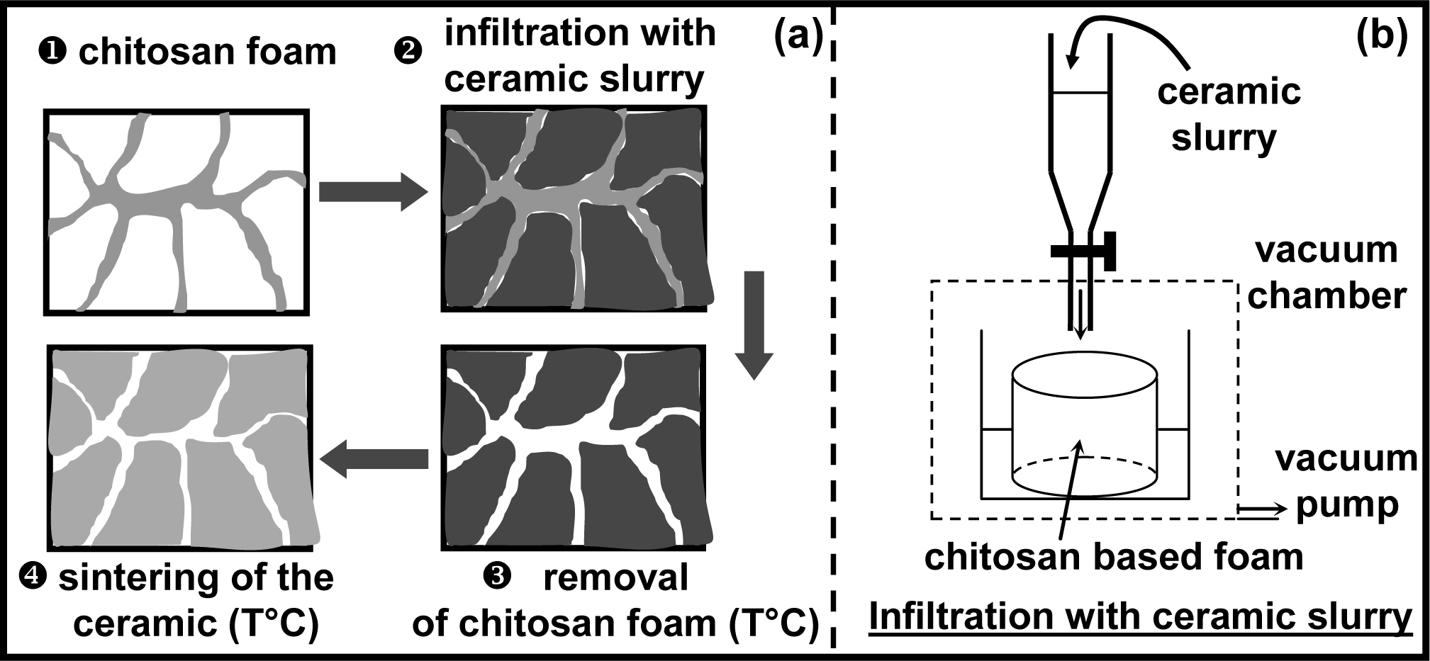 Ijms 12 01175f5 1024