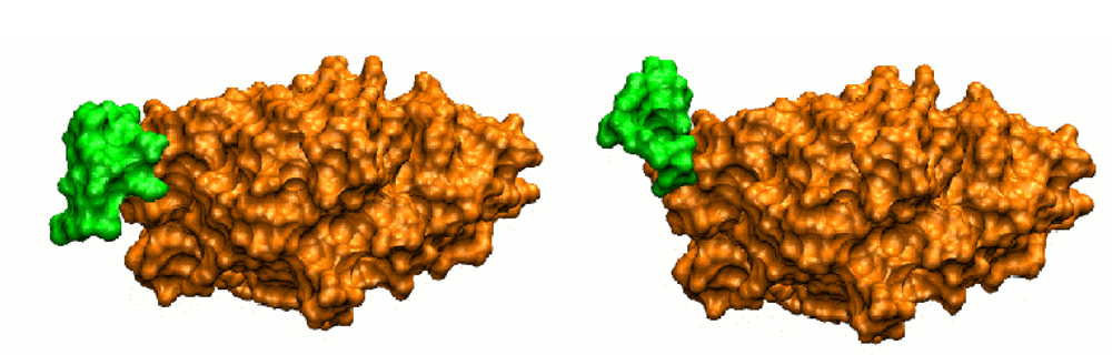 Ijms 12 01316f1 1024