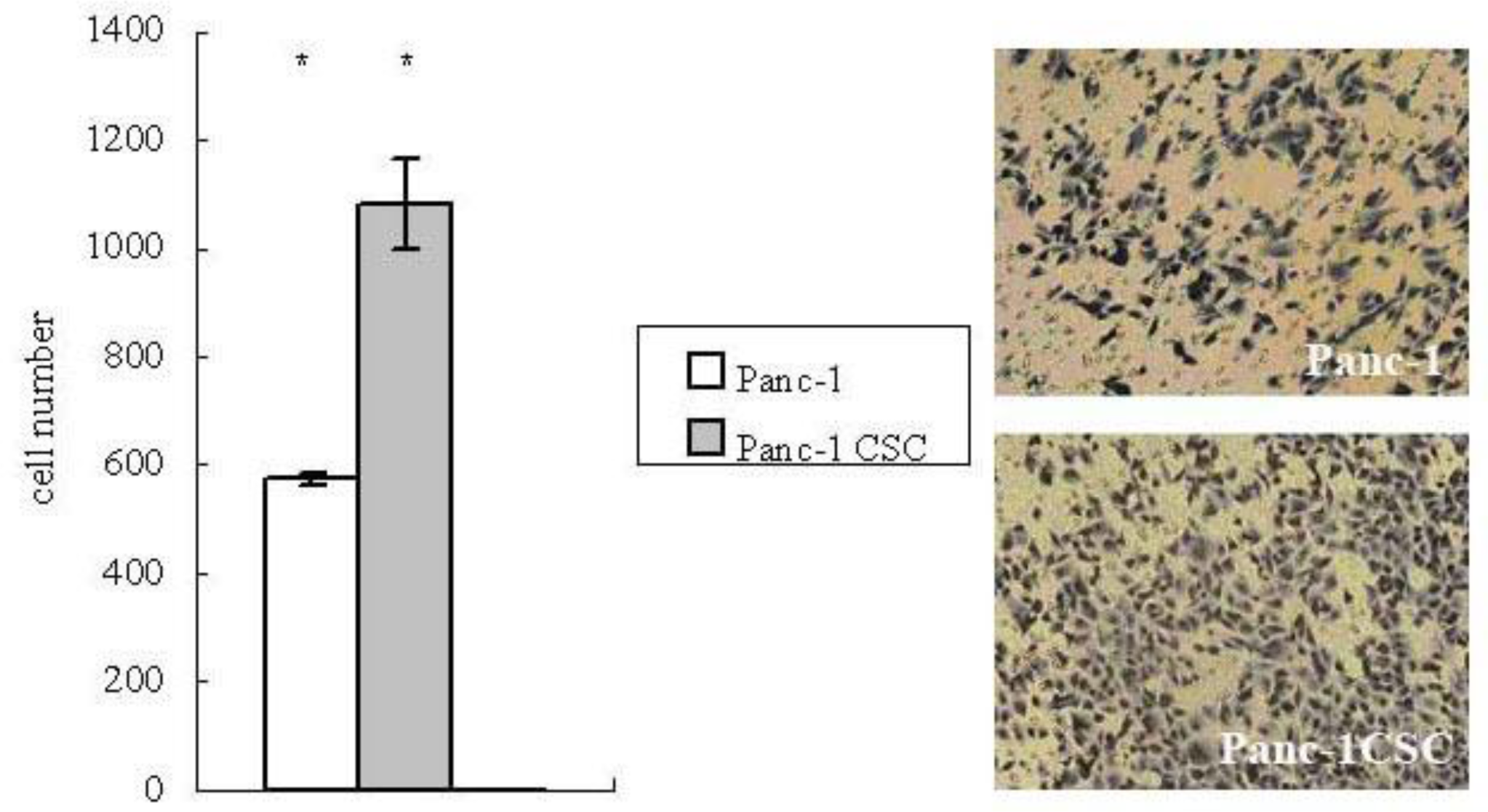 Ijms 12 01595f3 1024