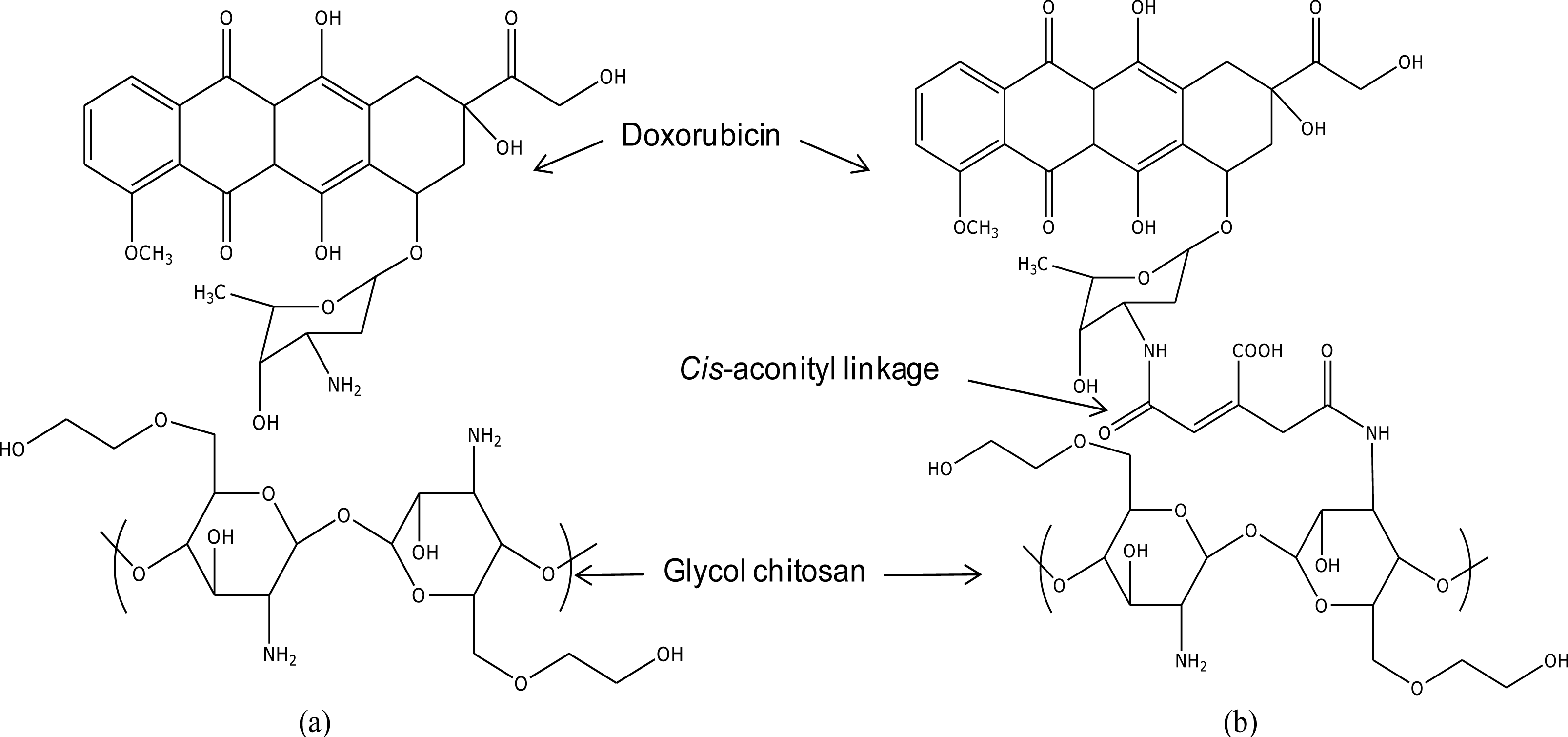 Ijms 12 01672f1 1024