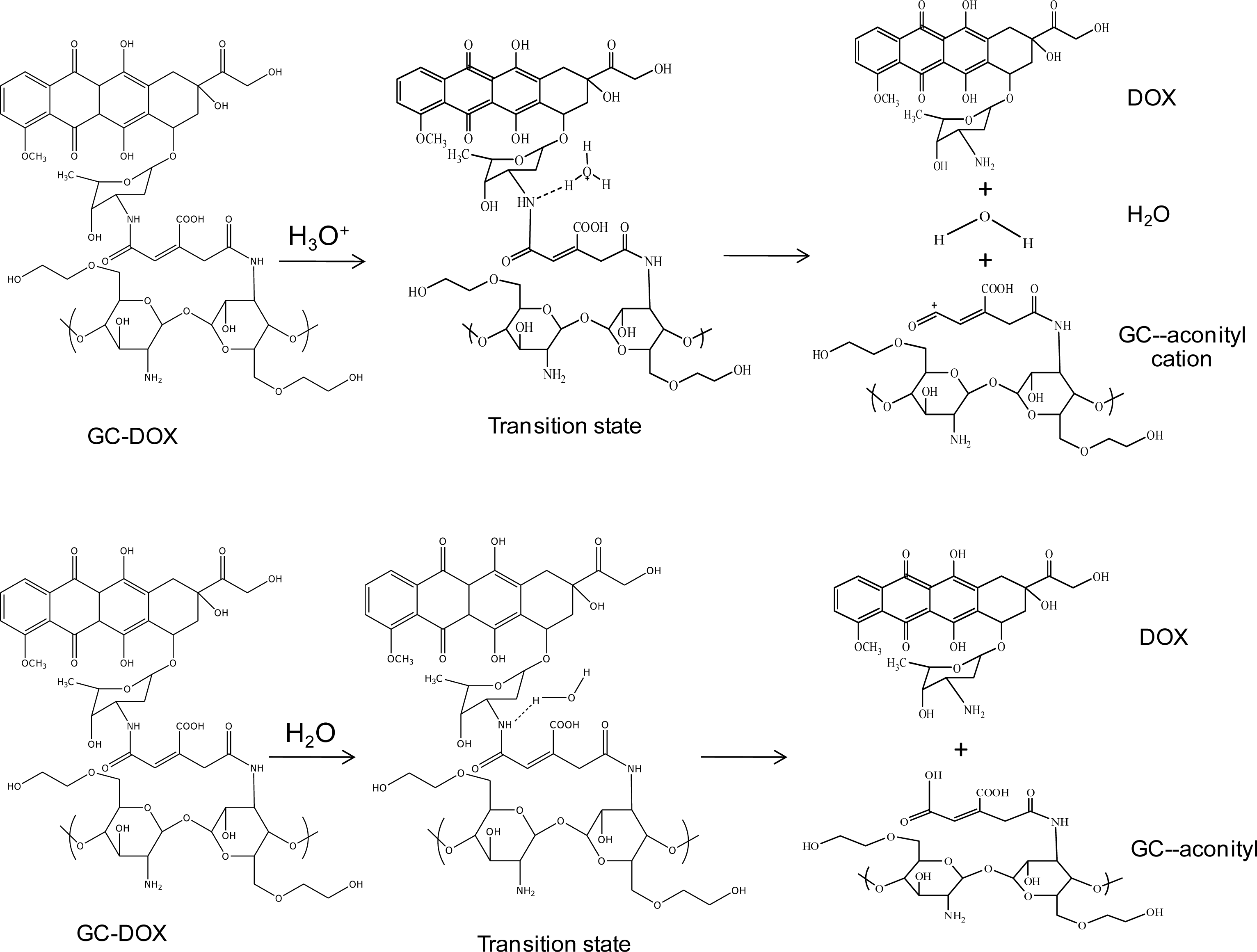 Ijms 12 01672f2 1024