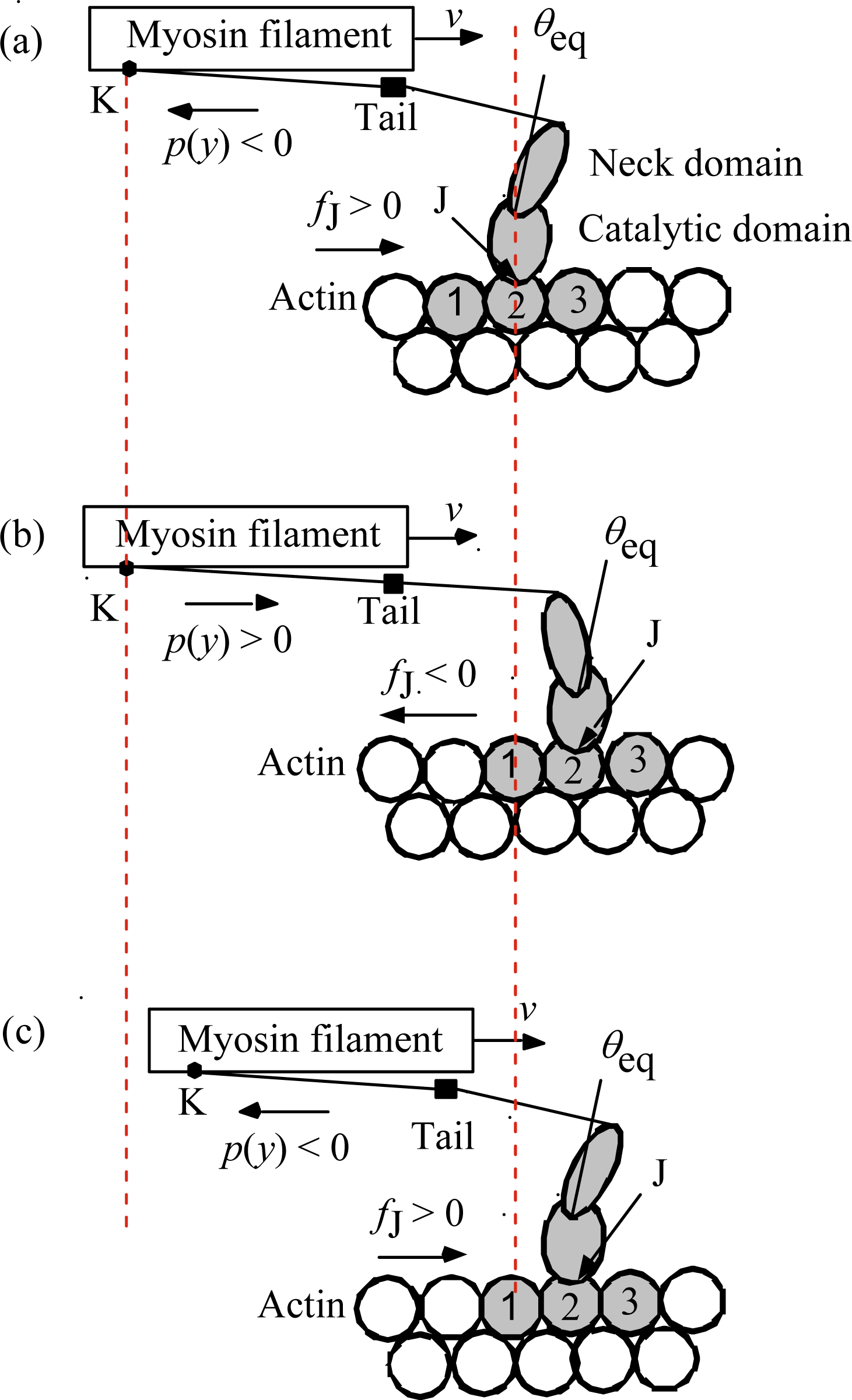 Ijms 12 01697f2 1024